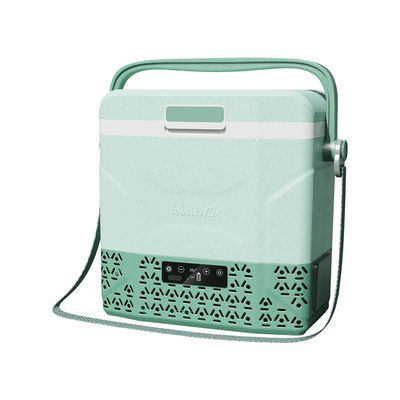 Mini Auto Freezer Cooler 12v Portable Refrigerator Baule frigorifero con manico auto