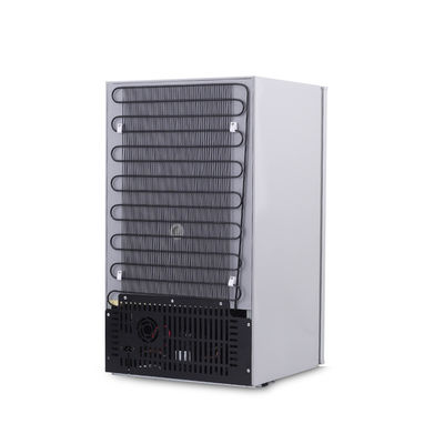 12v frigorifero frigorifero per auto LEAPCOOL Dc compressore cooler box per campeggio o camper