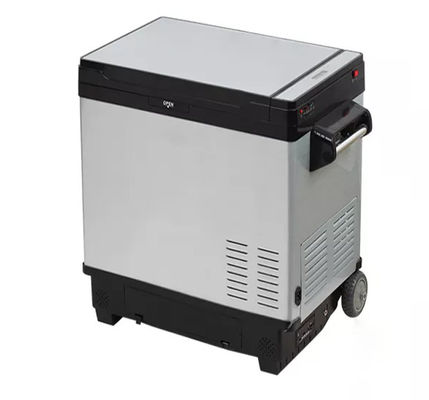 Compressore portatile frigorifero solare con capacità di 50L e tensione DC12V/24V O 110V-240V