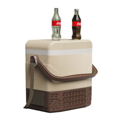 Frigorifero portatile a corrente continua per esterni/picnic Mini frigorifero per auto 12v